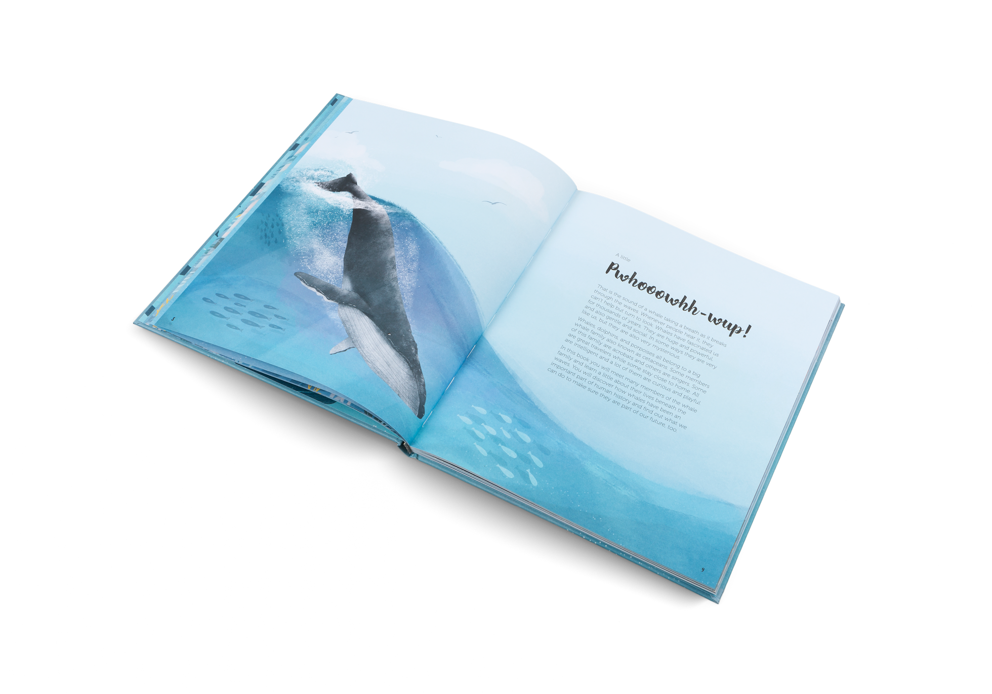 World of Whales: Get to Know the Giants of the Ocean