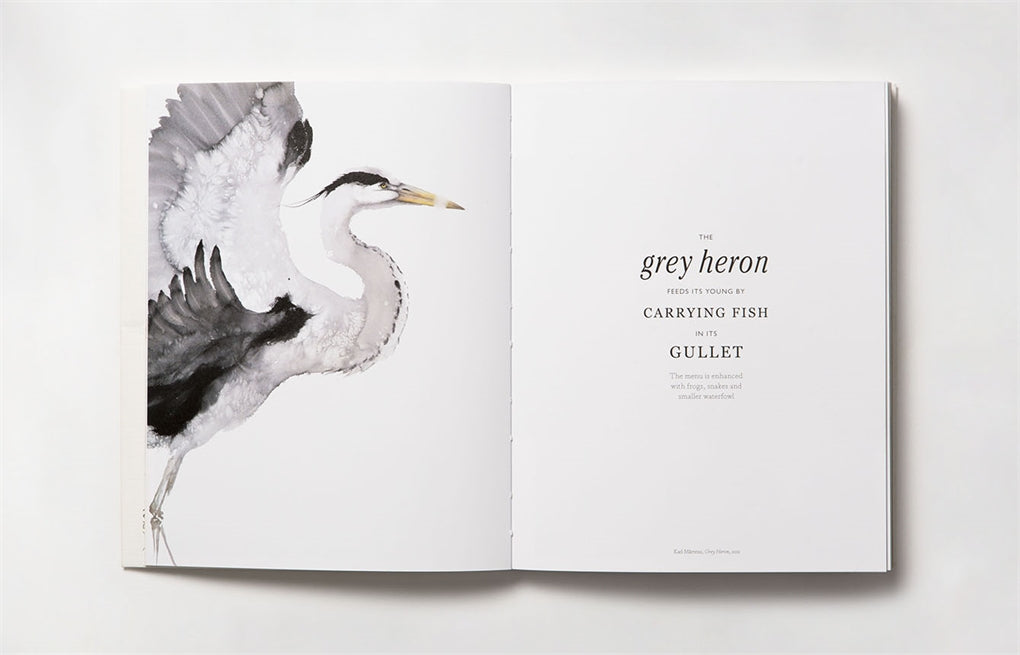 Book of the Bird: Birds in Art