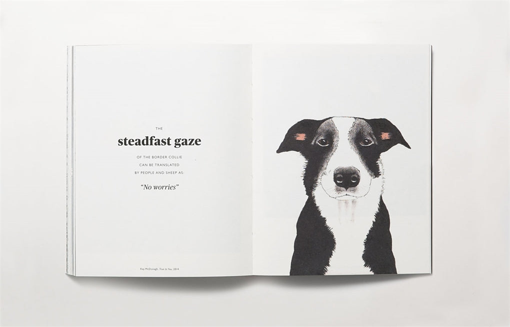 Book of the Dog