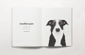 Book of the Dog