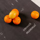 Citrus Mat (smooth ~ mammal) - Sebastian Moody Limited Edition Yoga Mat